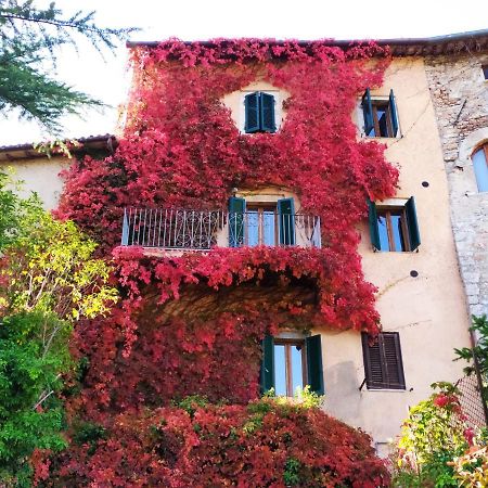 Villa La Torre Del Cerreto Cerreto di Spoleto Esterno foto
