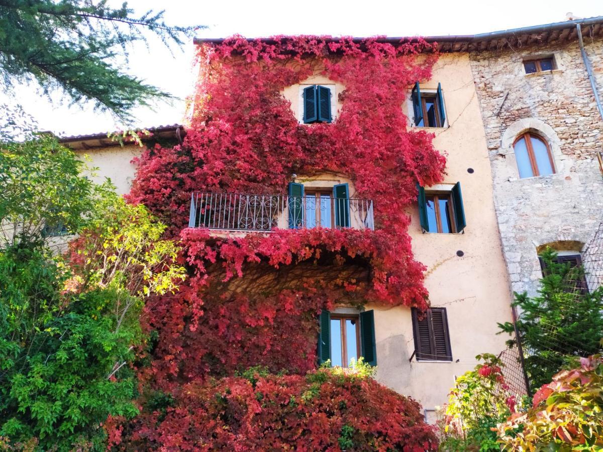 Villa La Torre Del Cerreto Cerreto di Spoleto Esterno foto