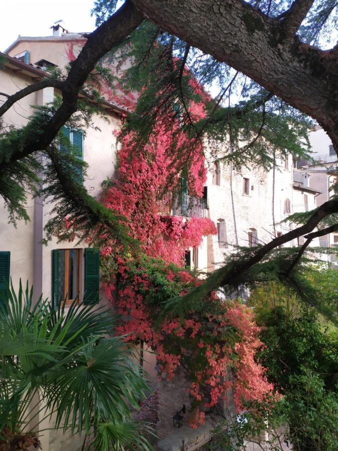 Villa La Torre Del Cerreto Cerreto di Spoleto Esterno foto